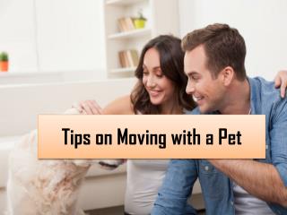 Tips on Moving with a Pet