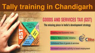 Tally training in Chandgarh