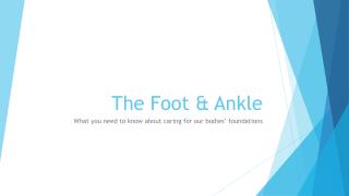 The Foot & Ankle: What you need to know about caring for our bodie's foundations