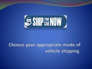 Expert Vehicle shipping service provider