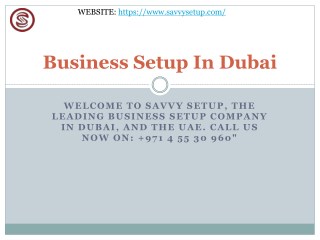 Business Setup In Dubai Savvy Setup