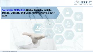 Global Polyamide 12 Market- Global Industry Insights, Trends, Outlook, and Opportunity Analysis, 2018-2025