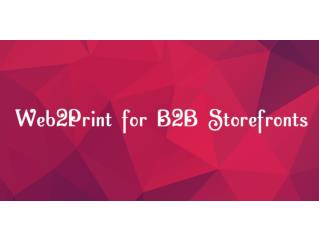 Web 2 Print Solutions for B2B storefronts