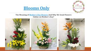 The Meaning of Mother's Day Flowers â€“ Blooms Only