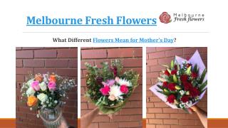 The Meaning of Mother's Day Flowers â€“ Blooms Only