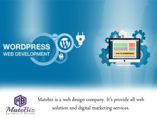 Searching For Top Wordpress Website Development Company