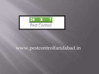 One of the Largest Pest Control Services In faridabad