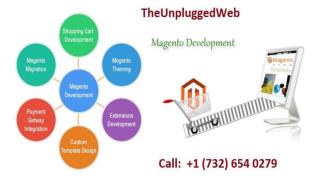 Magento Application Development Service