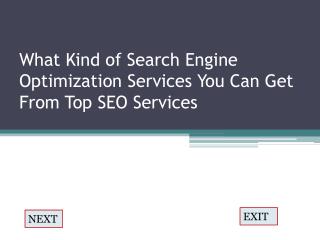 What Kind of Search Engine Optimization Services You Can Get From Top SEO Services