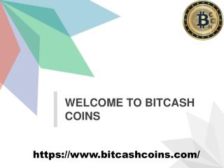 Buy Bitcoin Cash Online in Singapore