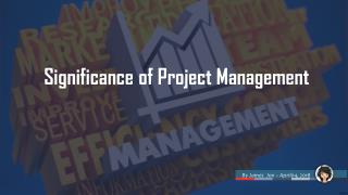 Online Project Management Assignment Writing Help