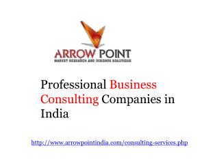 Professional Business Consulting Companies in India