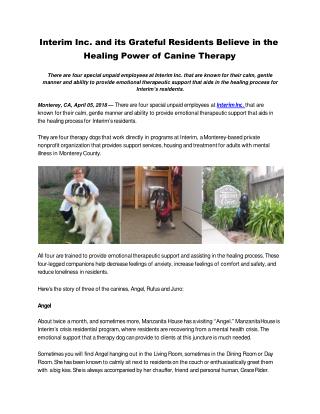 Interim Inc. and its Grateful Residents Believe in the Healing Power of Canine Therapy