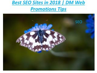 SEO Tips For New Website | DM Web Promotions Tips