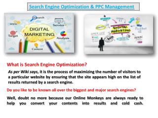 Search Engine Optimization & PPC Management