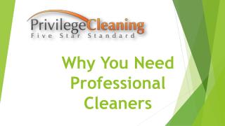 Why You need Professional Cleaners