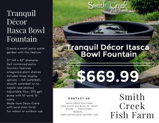 Tranquil DÃ©cor Itasca Bowl Fountain-SmithCreekFishFarm