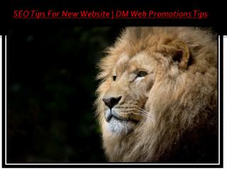 New Website Promotion | DM Web Promotions Tips