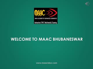 Graphic Design Training Courses in Bhubaneswar - Maya Academy of Advanced Cinematics