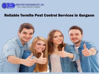 Reliable Termite Pest Control Services in Gurgaon