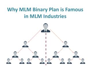 Why MLM Binary Plan is Famous in MLM Industries