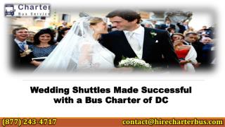 Wedding Shuttles Made Successful with a Bus Charter of DC