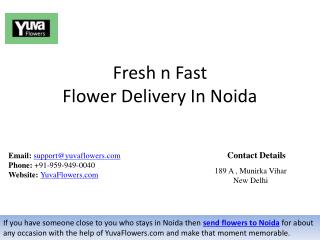 Fresh and Fast Flower Delivery In Noida