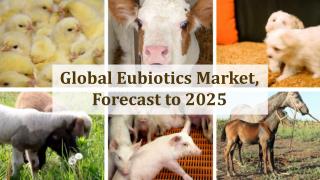 Global Eubiotics Market, Forecast to 2025