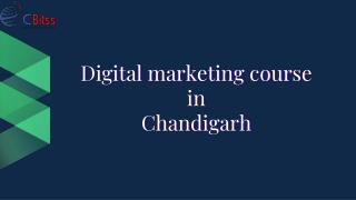 Digital marketing course in Chandigarh