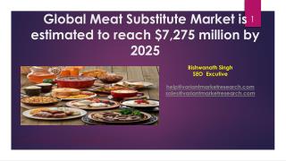 Meat Substitute Market