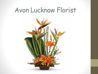 Send Flowers to Lucknow | Florist Lucknow
