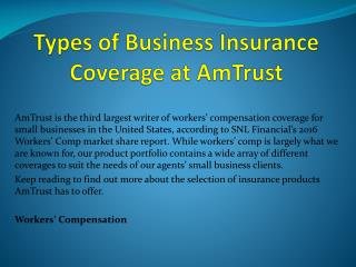 Types of Business Insurance Coverage at AmTrust