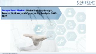 Forage Seed Market- Global Industry Insights, Trends, Outlook, and Opportunity Analysis, 2018-2025
