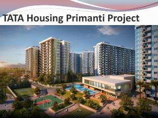 Ready to Move Flats On Sector 72 Gurgaon