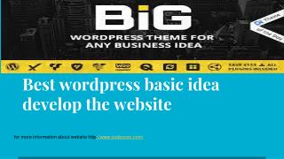 best wordpress basic idea develop the website