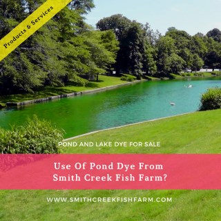 How to Choose a Pond Aerator Smith Creek Fish Farm