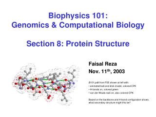 Biophysics 101: Genomics &amp; Computational Biology Section 8: Protein Structure