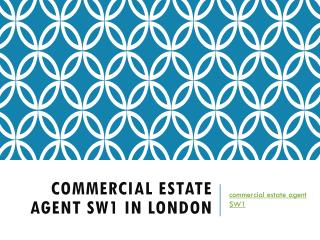 Commercial Estate Agent SW1 In London