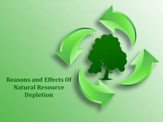 Reasons and Effects Of Natural Resource Depletion