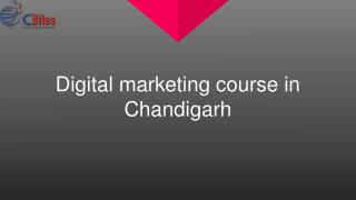 Digital marketing course in Chandigarh