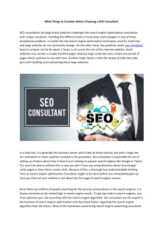 seo consultant