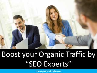 A Beginner's Guide for SEO Services to become An SEO Expert