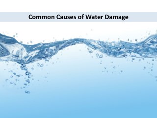 Common Causes of Water Damage