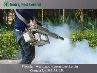 Please Contact For Pest Control Noida