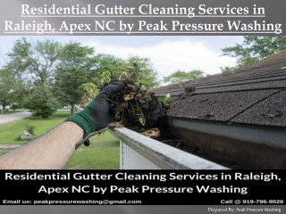 Residential Gutter Cleaning Services in Raleigh, Apex NC by Peak Pressure Washing