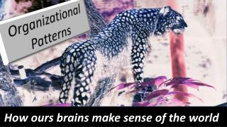 How Our Minds Make Sense of the World