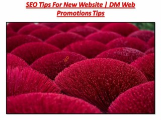 SEO Tips For New Website | DM Web Promotions Tips