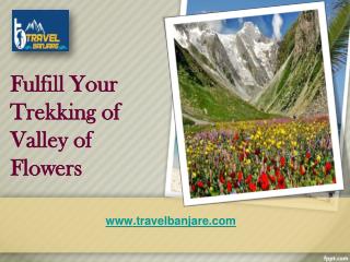 Fulfill Your Trekking Spirit of Valley of Flowers