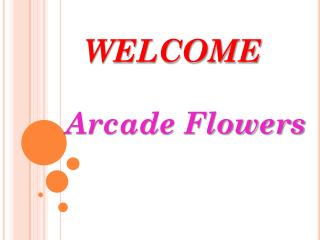 Get the best Flowers in Parramatta