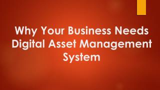 What is the Important of Digital Asset Management For Your Business